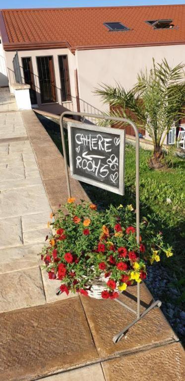B&B Stella Del Cilento Di Anna Botti Agropoli Zewnętrze zdjęcie